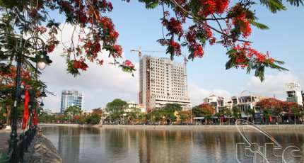 Sắp diễn ra lễ hội Hoa Phượng Đỏ - Hải Phòng 2016